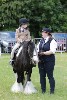 thornton-le-dale-gala showclass7acharity25-5-20188